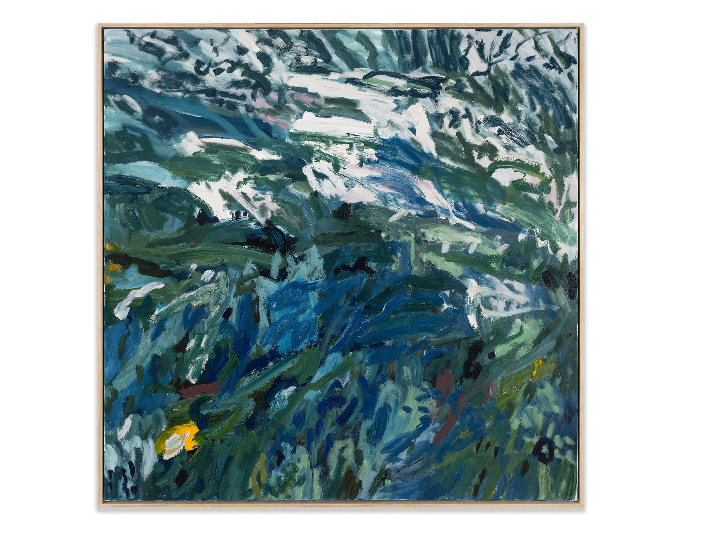 An afternoon of swimming