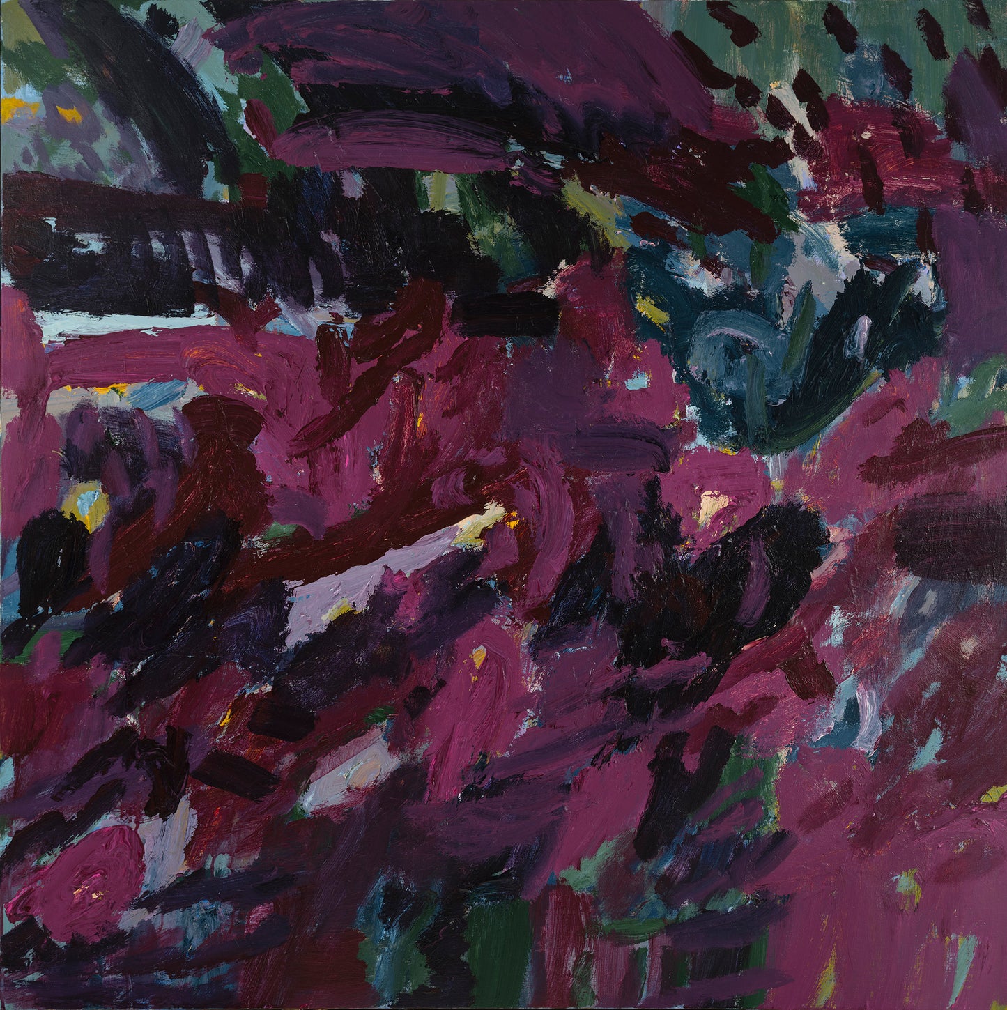 Midnight garden