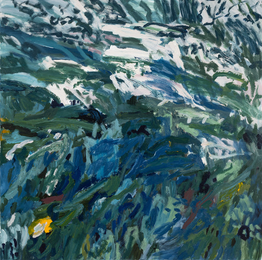 An afternoon of swimming